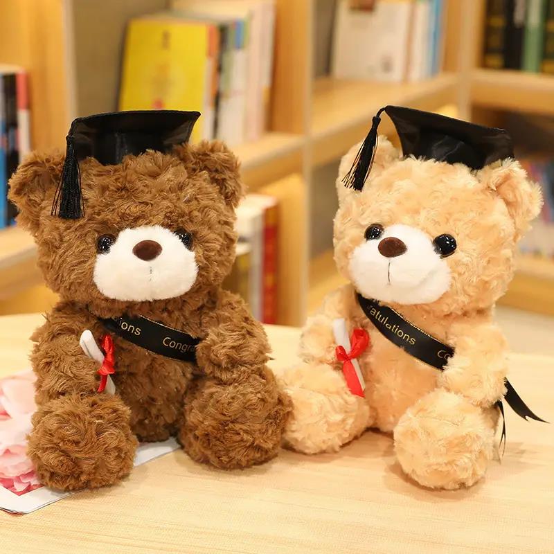 Graduation Teddy Bear - Small with Sash