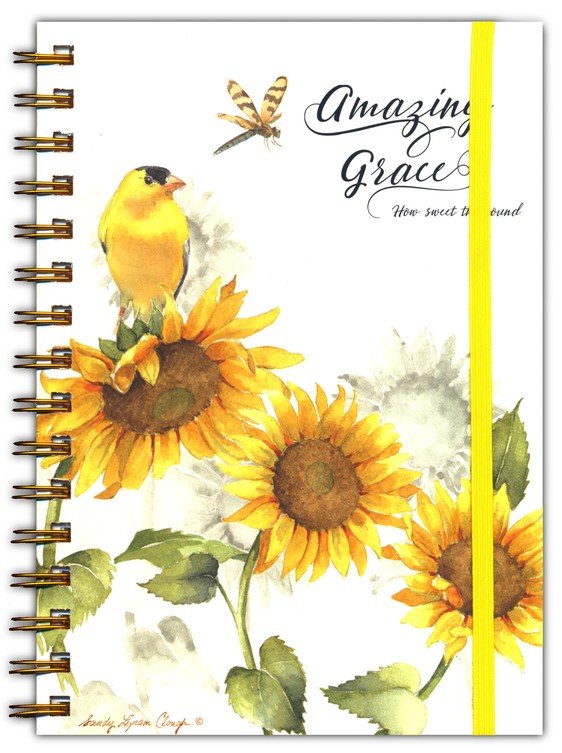 Journal - Amazing Grace - Spiral Journal