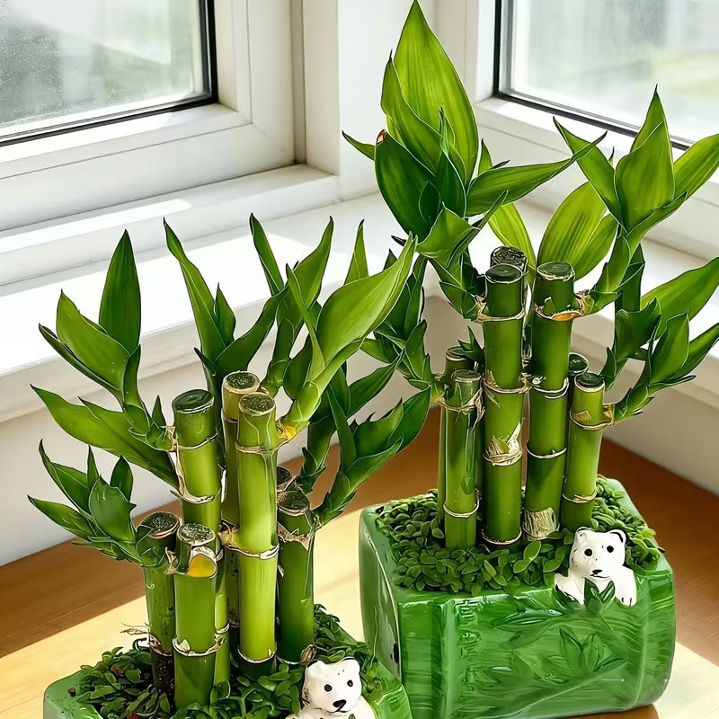 Planter - Faux Bamboo