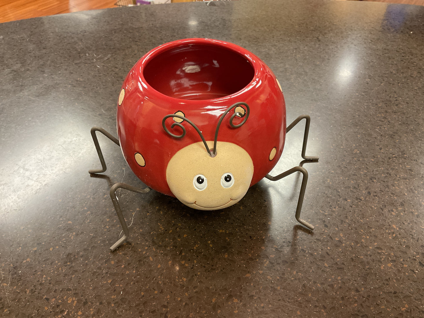 Planter - Ladybug